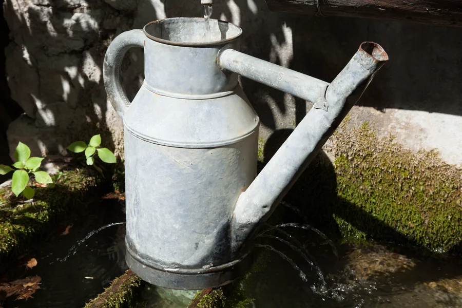 Agua y vegetación en el entorno de una vivienda